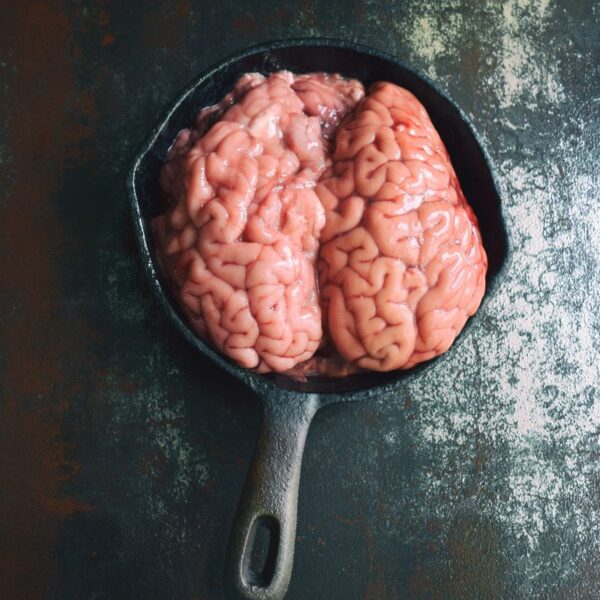 Pigs Brains