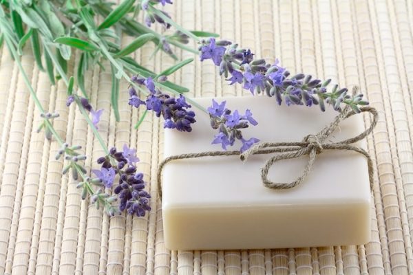 lavender soap gift