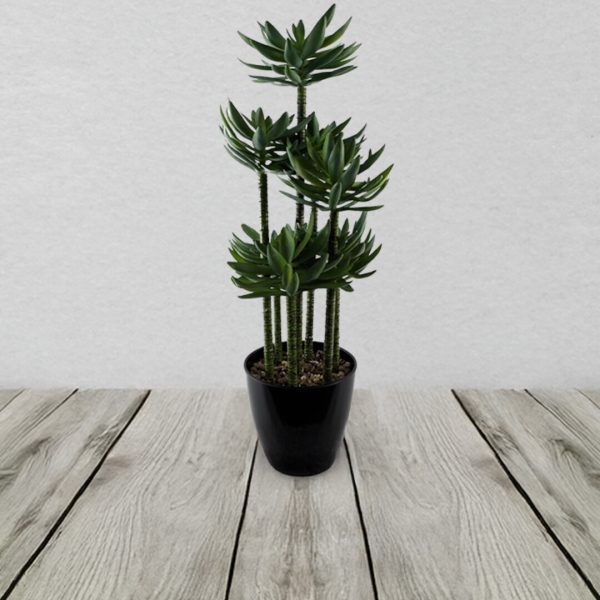 60cm artificial tropical yucca in planter